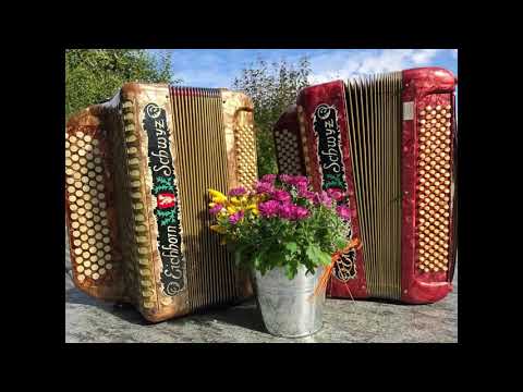 Der Student geht vorbei/ A dä Landammäfyhr // Ländlertrio Hembergergruess