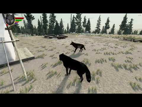 WolfQuestAE: Ding Dong Ditch!