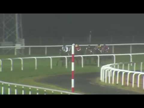 2017.09.22 Breeders' Trophy Mile (SWE) - Appelina