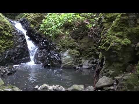 Hradišťan Voda má