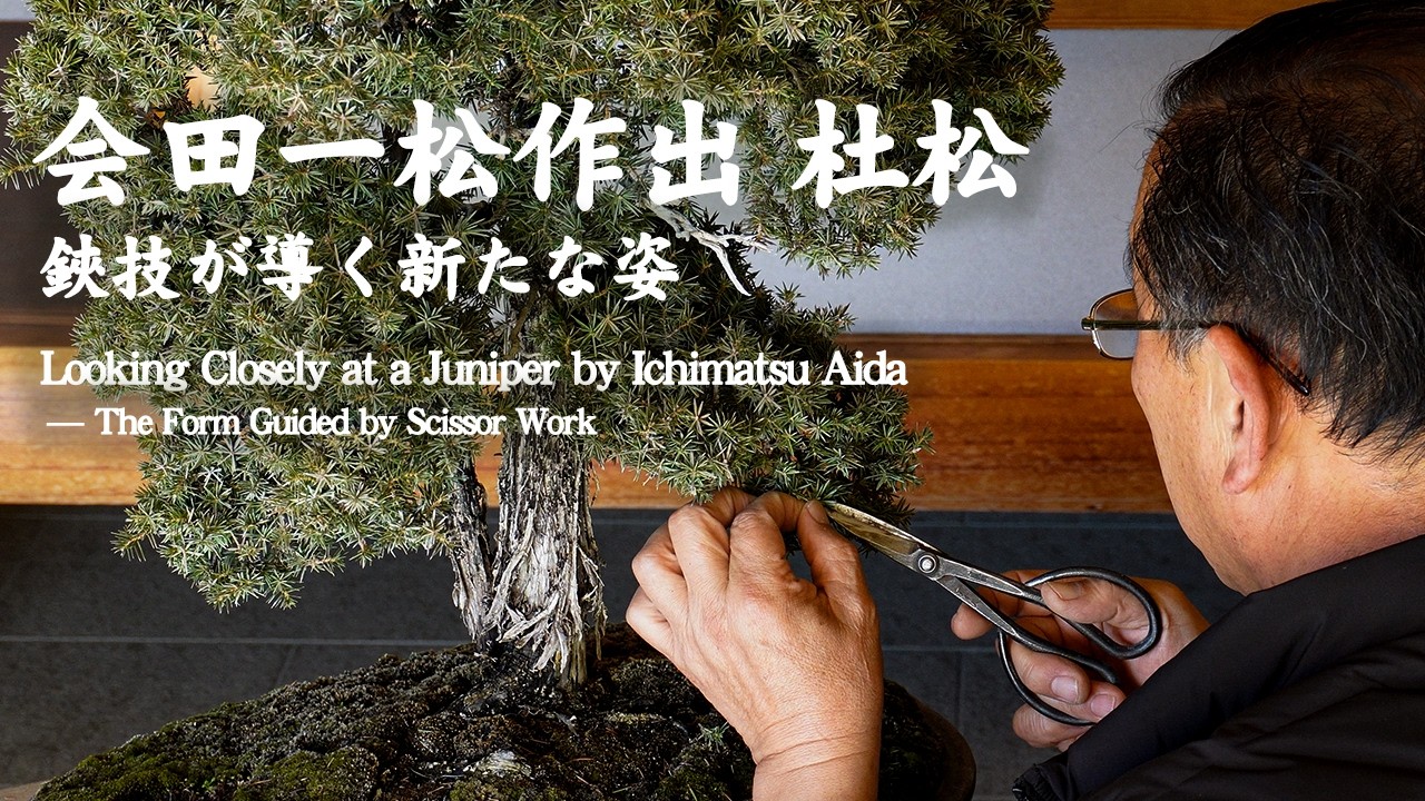 会田一松作出 杜松を見つめて～鋏技が導く新たな姿～
