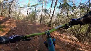 Buffalo Mountain | Upper Pinnacle Fire Tower Trail Intersection DH