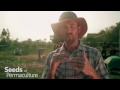 High Quality Compost