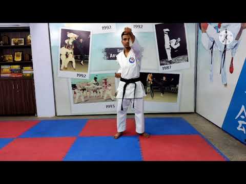 Seiken Zuki and Gedan Barai  Tutorial by Sensei Dhwanil