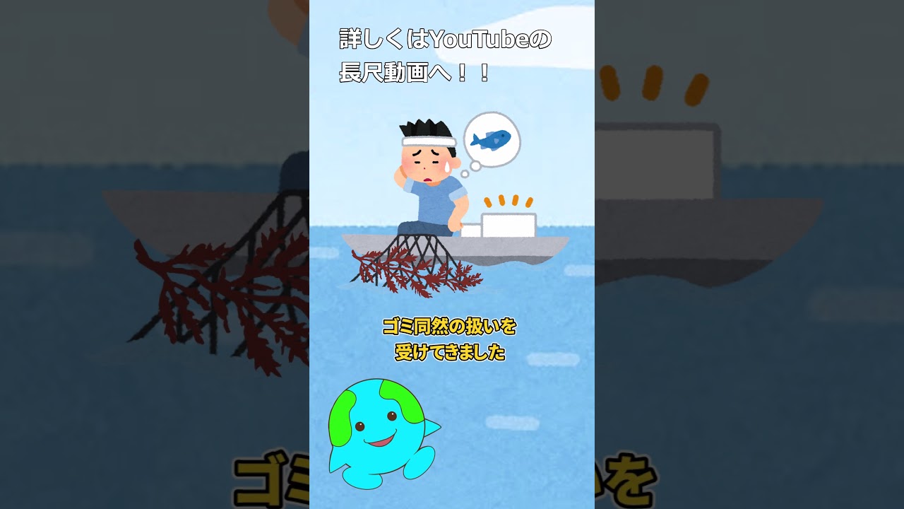 栄養豊富な海のスーパーフードがゴミ扱いされている理由【アカモク】 #shorts