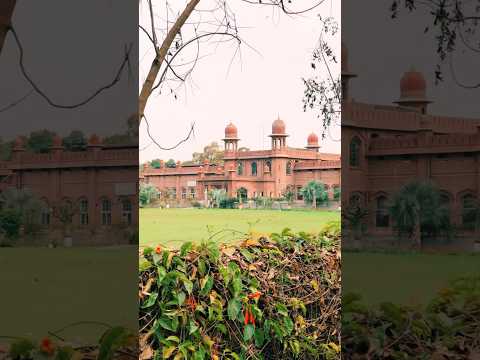 University Of Agriculture Faisalabad (Main campus ❣️) #UAF #uafians #agrarians #faisalabad #campus