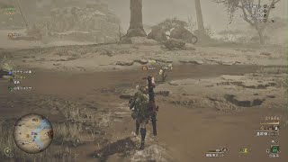 MHWilds｜ゲリョスvsドシャグマ ｜MHWs