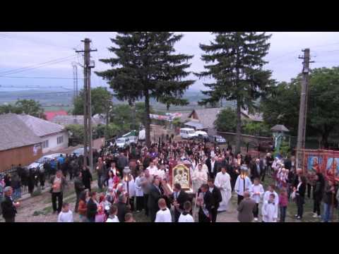 Procesiune cu icoana Maicii Domnului de la Cacica in parohia Pustiana - 26 mai 2012
