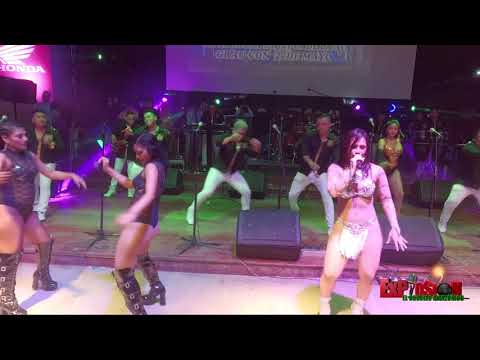 Suavecito Nomas - 20 Aniversario Grupo Musical Explosión (2/20)