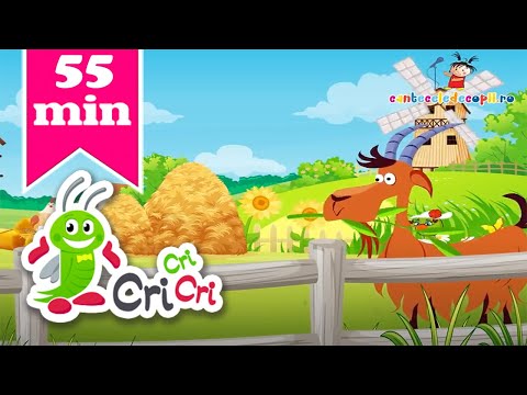 Colaj - Primavara - 55 de minute de Muzica pentru copii - Cantece pentru copii | CriCriCri