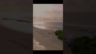 Download lagu Bubble Bliss: Nature's Window in Shorts mp3
