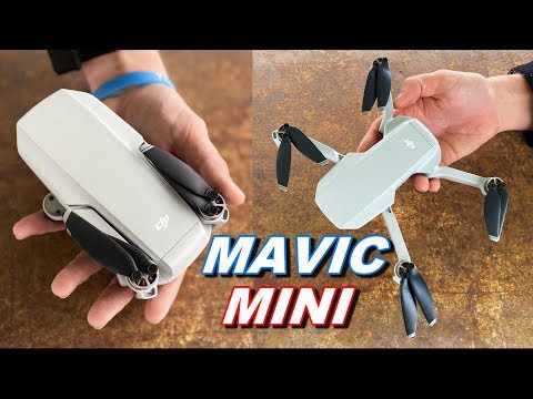 DJI Mavic MINI Review & Flight TEST - Is It REALLY WORTH IT? - TheRcSaylors
