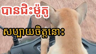 ថ្ងៃនេះនាំគេដើរលេងម្ដង