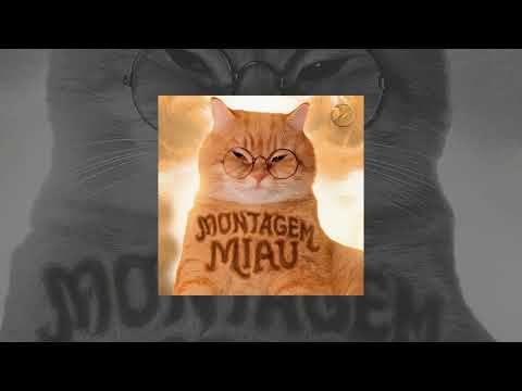 Montagem Miau (Meow Meow Song)
