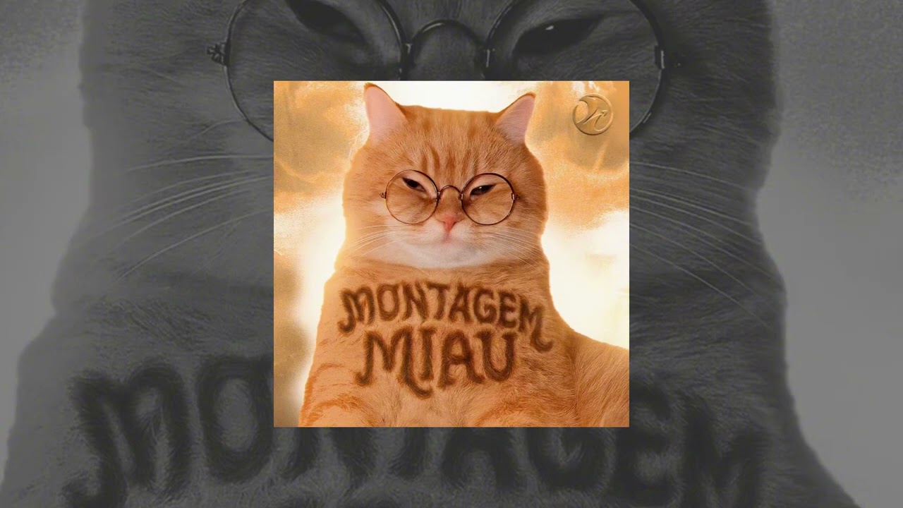 Montagem Miau (Meow Meow Song)