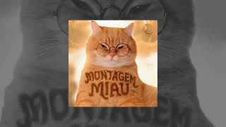 Download lagu Montagem Miau (Meow Meow Song) mp3