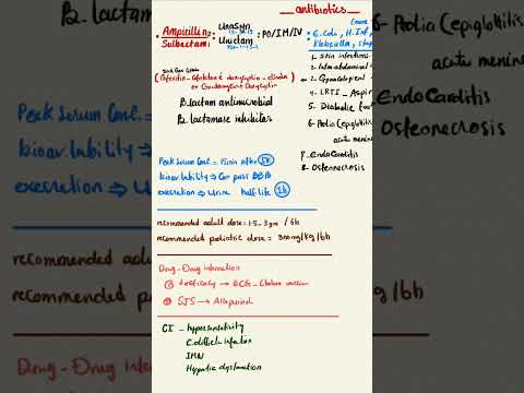Antibiotics bites: Ampicillin / sulbictam (Unasyn vs Unictam) #humananatomy #antibiotics #drugs