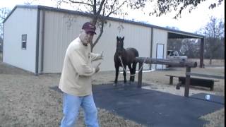 How Not To Get Kicked By A Horse - Why Horses Kick People - Stay Away From Back Hooves
