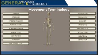 Movement Terminology (Screencast)