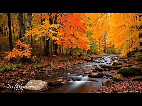 Beruhigende Herbstmelodien 🍁 Stressabbau und emotionale Heilung