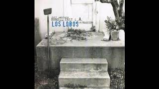 Los Lobos ~ Blue Moonlight-Someday
