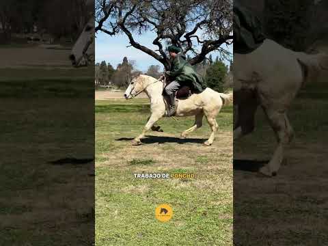 FANTASMA