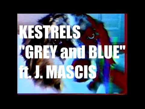 Kestrels - Grey and Blue ft. J Mascis (Official Music Video)