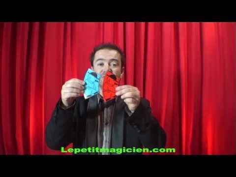 Voir la vidéo de Les Illusions d'optique