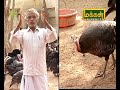 Malarum Bhoomi Nanum Oru Vivasaye 08 12 2018 Epi 2967 Part 1 வான்கோழிகளின்