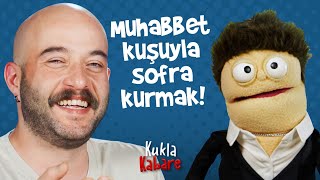 EVCİL HAYVANLAR, PATİLİ DOSTLAR, DÜŞÜK LİBİDO, CEP MAYMUNLARI, SİVAS, DOSTLUK MA