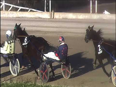 Trotto 24/12/2019 - 5ª corsa