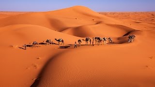 Muslimgauze - Jaagheed Zarb (Kiss of Deceit)