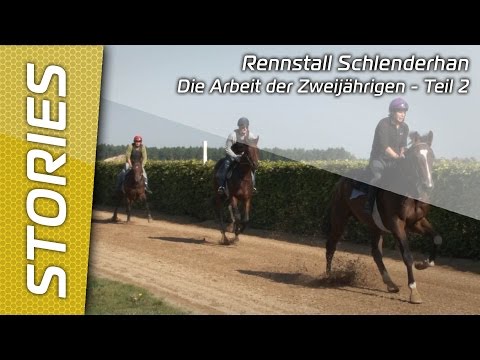 Jean-Pierre Carvalho - Arbeit der 2jährigen - Teil 2