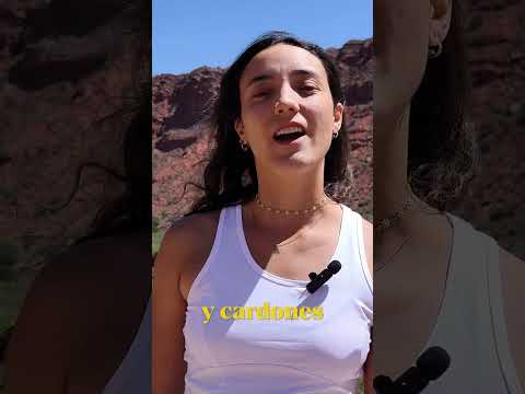 RUTAS ESCÉNICAS en LA RIOJA ¿Cuál te gusta más? #pampadelaviuda #cuestademiranda