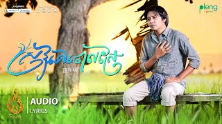Audio Lyric | ស្រូវទៅចោលស្រែ (Srov Tov Joal Sre) - ដួង វីរៈសិទ្ធ (Doung Virakseth) | REAM