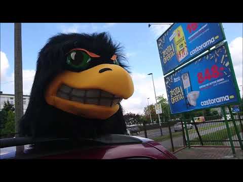 Elabika maskotki klubowe na zamówienie Jastrząb Jastrzębski Węgiel