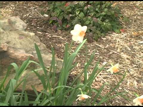 Tilly & the Wall Beat Control Music Video Project