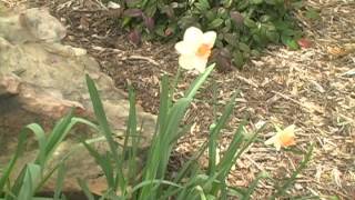 Tilly &amp; the Wall Beat Control Music Video Project