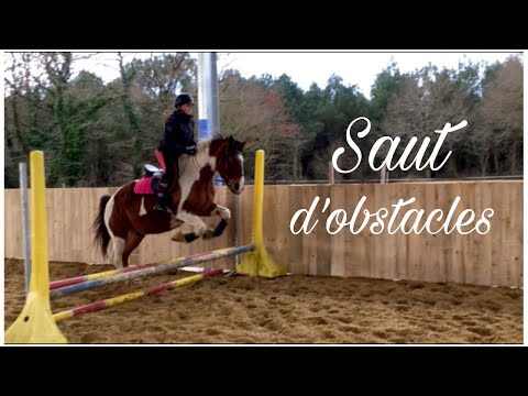 CS'o Landreau - Saut d’obstacles - 23/01/2019