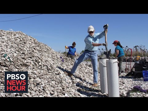 How recycled oyster shells are helping save Louisiana's dwindling coastline