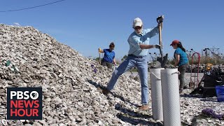 How recycled oyster shells are helping save Louisiana