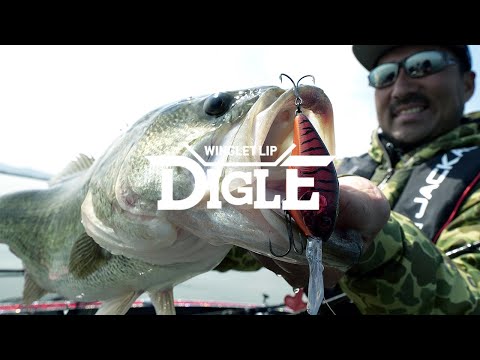 Digle4+ 70mm 20.8g Chart Black Bluegill F