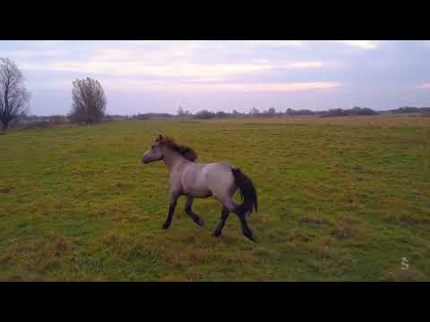 Sergey Matsegor - Time of memories