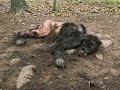 MNE Talk To Jim Lansdale From Tv S Killing Bigfoot