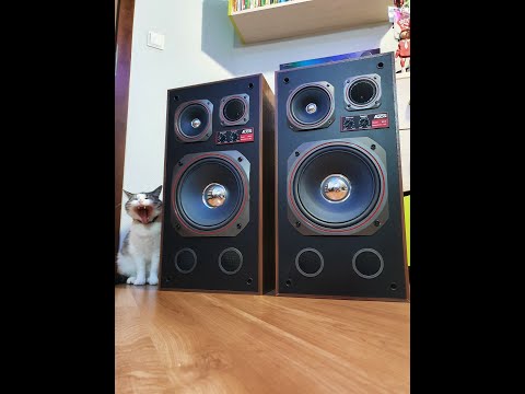 Alton 80 po regeneracji & Pioneer A447 Stefan Rio Feat. Franca Morgano - Ai No Corrida