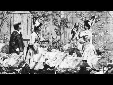 First Class Midwife (1902) | Picking Babies In A Garden