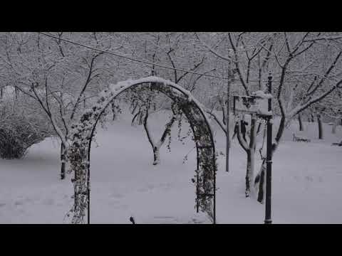 Maria Deac - cu iarna de mana (Clipa de poezie)