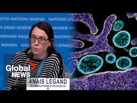 Nipah virus risk “considered low” with no sign of spread: WHO