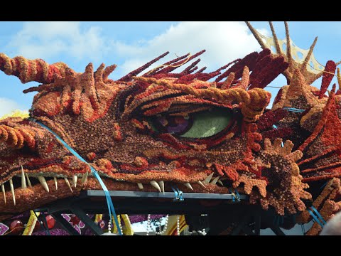 Gevaarlijk transport - Winnaar Corso Zundert 2016