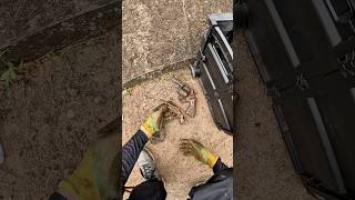 Ele pegou o primeiro revolver na pesca magnética